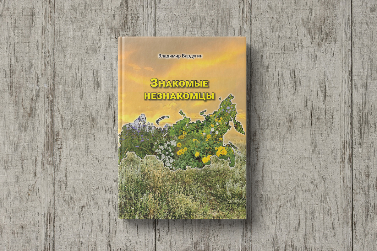 Книги, пособия и брошюры